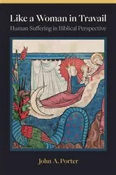 Book cover of Like a Woman in Travail by John A. Porter