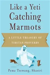 Book cover of Like a Yeti Catching Marmots by Unknown
