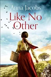 Book cover of Like No Other by Mark T. McNally
