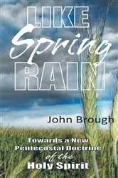 Book cover of Like Spring Rain by John Brough
