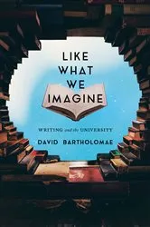 Book cover of Like What We Imagine by David Bartholomae