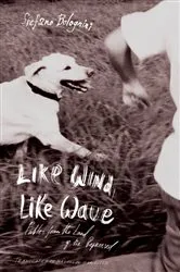 Book cover of Like Wind, Like Wave by Stefano Bolognini