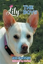 Book cover of Lily and The Boys by Jeff Necessary