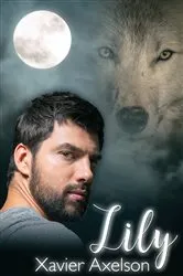 Book cover of Lily by Holly Webb
