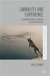 Book cover of Liminality and Experience by Paul Stenner