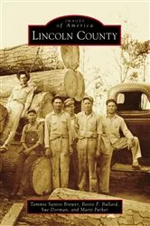 Book cover of Lincoln County by Glen V. McIntyre