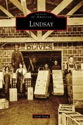 Book cover of Lindsay by Sarah Troop