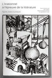 Book cover of L’irrationnel à l’épreuve de la littérature by Jean Valenti