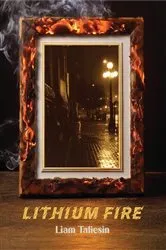 Book cover of Lithium Fire by Liam Taliesin