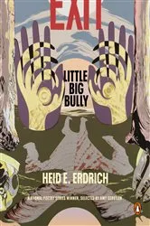 Book cover of Little Big Bully by Heid E. Erdrich