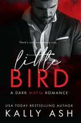 Book cover of Little Bird by Tiffany Meuret