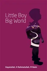 Book cover of Little Boy Big World by Unknown