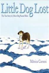 Book cover of Little Dog, Lost by Marion  Dane Bauer