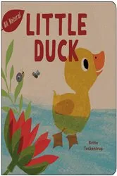 Book cover of Little Duck by Britta Teckentrup
