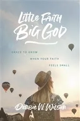 Book cover of Little Faith, Big God by Debbie Wilson