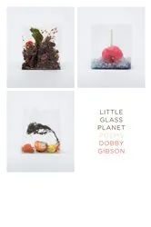 Book cover of Little Glass Planet by Dobby Gibson