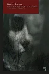 Book cover of Little Houses, Big Forests by Siouxzi Mernagh