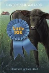 Book cover of Little Joe by Sandra Neil Wallace