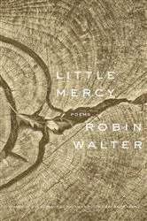 Book cover of Little Mercy by Robin Walter