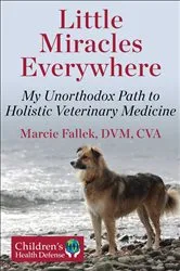 Book cover of Little Miracles Everywhere by Marcie Fallek