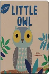 Book cover of Little Owl by Britta Teckentrup