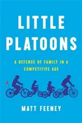 Book cover of Little Platoons by David Skelton