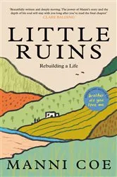 Book cover of Little Ruins by Manni Coe