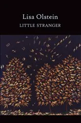 Book cover of Little Stranger by Lisa Olstein