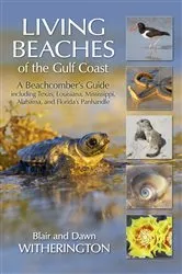 Book cover of Living Beaches of the Gulf Coast by Blair Witherington