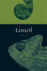Book cover of Lizard by Boria Sax
