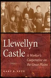 Book cover of Llewellyn Castle by Gary R. Entz