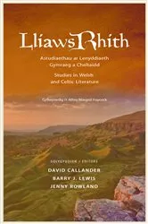 Book cover of Lliaws Rhith by David Callander