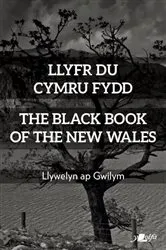 Book cover of Llyfr Du Cymru Fydd / The Black Book of the New Wales by Llywelyn ap Gwilym