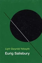 Book cover of Llyfr Gwyrdd Ystwyth by Eurig Salisbury
