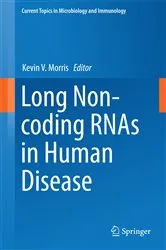 Book cover of Long Non-coding RNAs in Human Disease by Kevin V. Morris