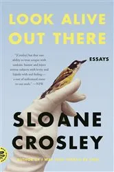 Book cover of Look Alive Out There by Sloane Crosley