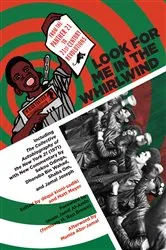Book cover of Look for Me in the Whirlwind by Matt Meyer
