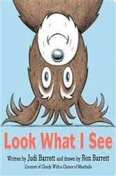 Book cover of Look What I See by Judi Barrett