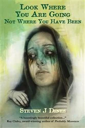 Book cover of Look Where You Are Going Not Where You Have Been by Dines, Steven , J