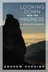 Book cover of Looking Down Into the Madness by Andrew Hudgins