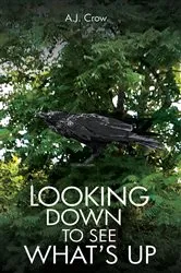 Book cover of Looking Down to See What’s Up by A.J. Crow
