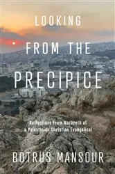 Book cover of Looking from the Precipice by Unknown