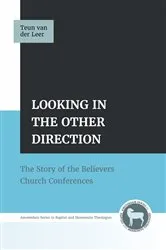 Book cover of Looking in the Other Direction by Teun van der Leer