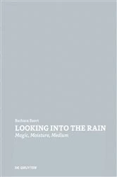 Book cover of Looking Into the Rain by Barbara Baert