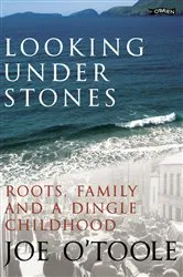 Book cover of Looking Under Stones by Joe O'Toole