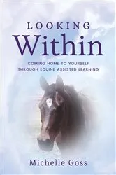Book cover of Looking Within by Cullen Ruff