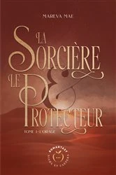 Book cover of L'Orage by Mae Marêva