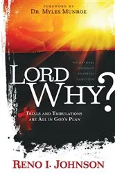 Book cover of LORD WHY? by Reno  I Johnson