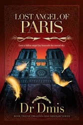 Book cover of Lost Angel of Paris by Dr Dmis