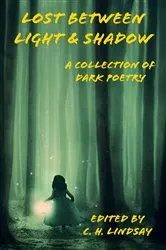 Book cover of Lost Between Light & Shadow by C.H. Lindsay